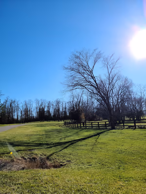 Jacobson Dog Park photo 1